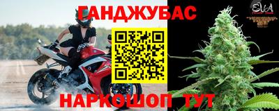 гидра Краснознаменск