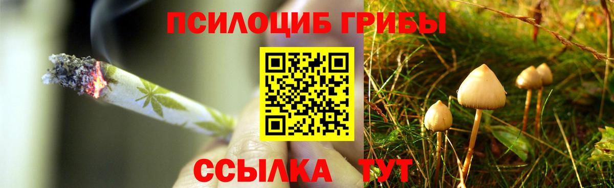Кировск  Псилоцибиновые грибы прущие грибы  Псилоцибиновые грибы ЛСД  Вход с VPN 
